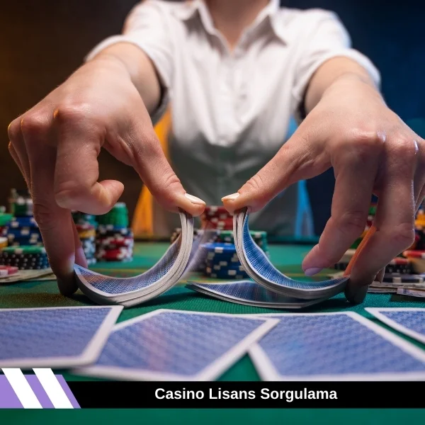 Casino Lisans Sorgulama